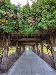 Top 15 photo spots in San Jose