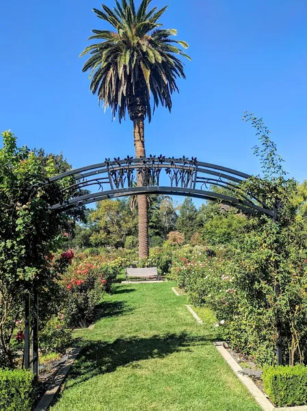 photo spots McKinley Park