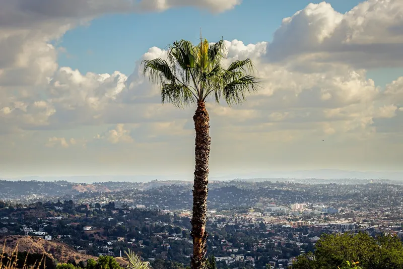 photo spots Runyon Canyon Park