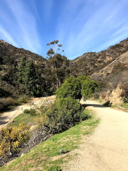 Hiking Trails Runyon Canyon Flag