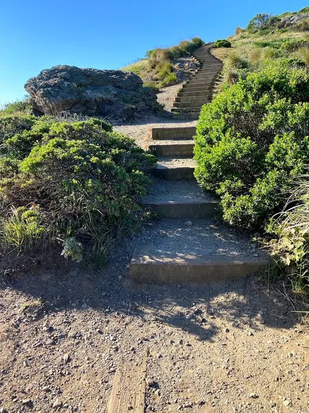 Hiking Trails Eureka Peak