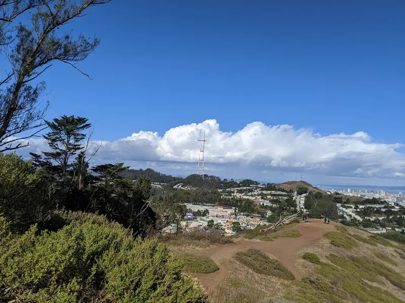 Hiking Trails Mount Davidson Hiking Path Entrance