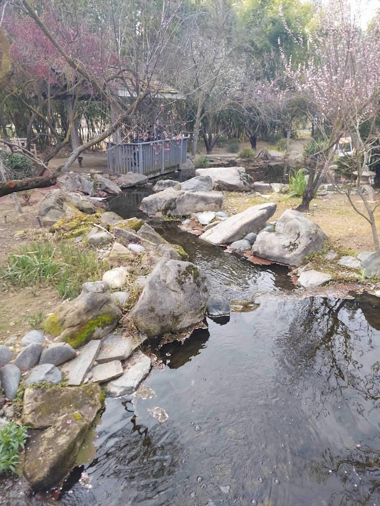 Best of 23 Hiking Trails in Fresno