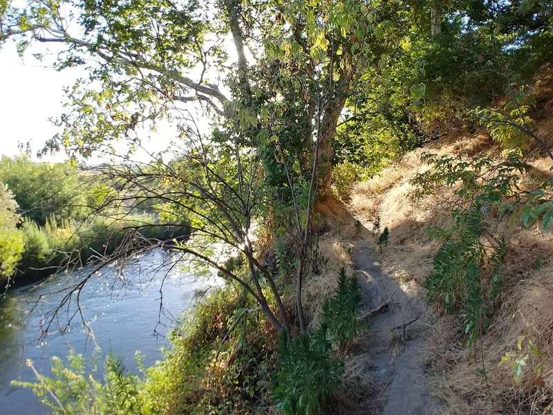 Hiking Trails Riverbottom Park