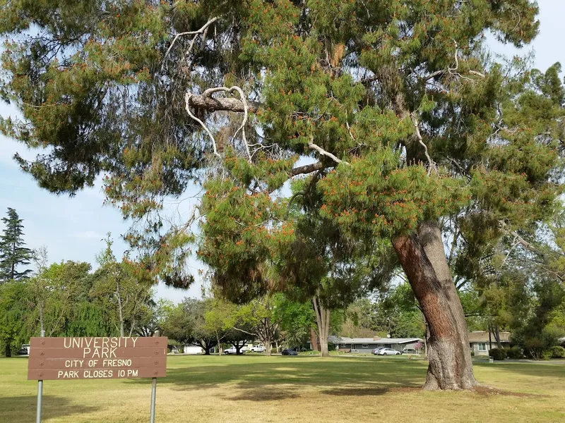 Hiking Trails University Park