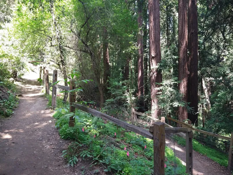 Hiking Trails Bridgeview Trailhead