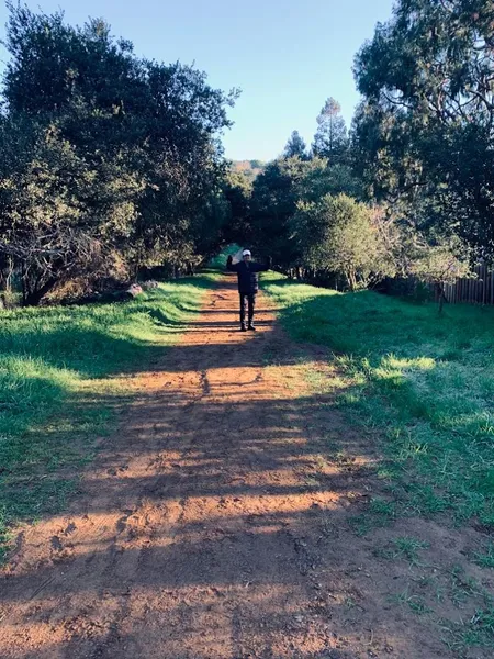 Hiking Trails The San Leandro Trails