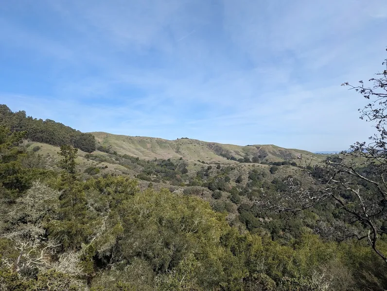 Hiking Trails Huckleberry upper trail