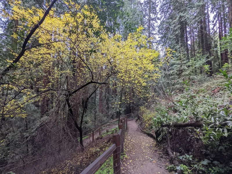 Hiking Trails Bridgeview Trail at Monterey Blvd