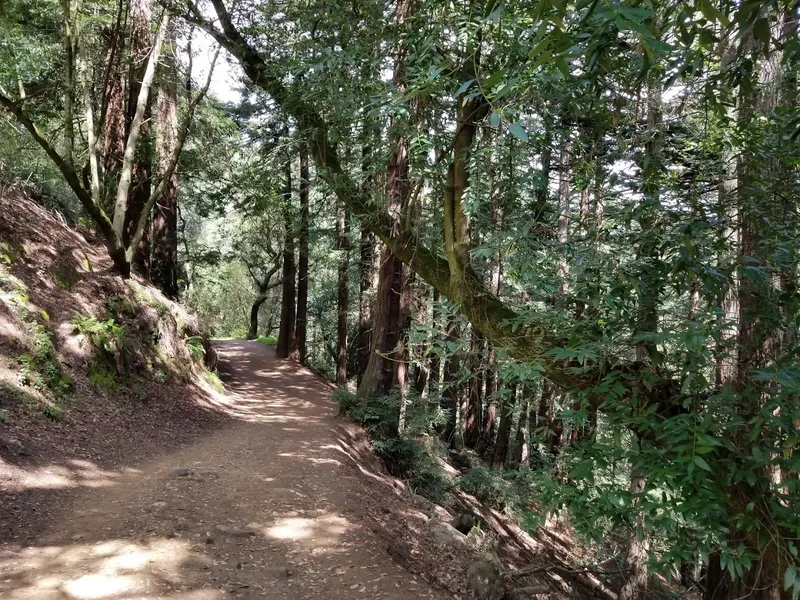 Hiking Trails Moon Gate