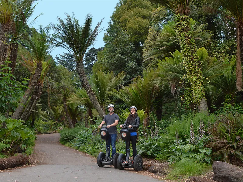 road trips Golden Gate Park Tours