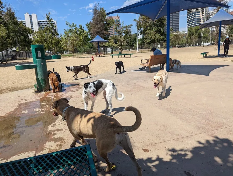 dog parks Westwoof Dog Park