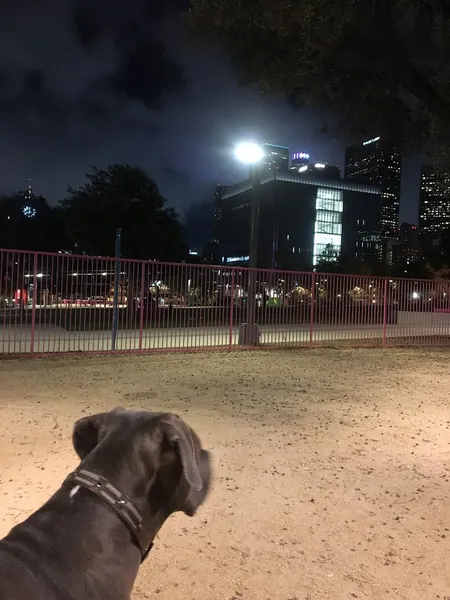 dog parks Grand Park- Dog Park