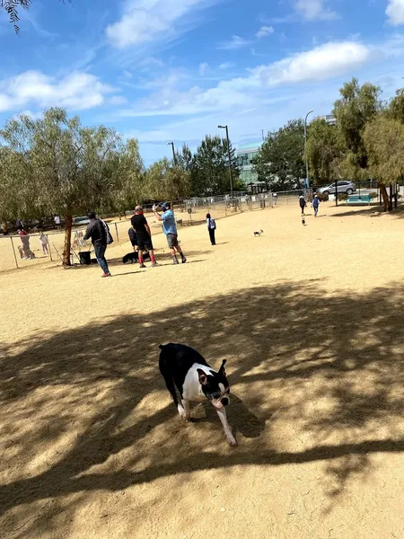 dog parks Boneyard Dog Park