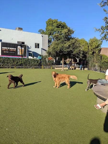 dog parks West Hollywood Park Dog Park