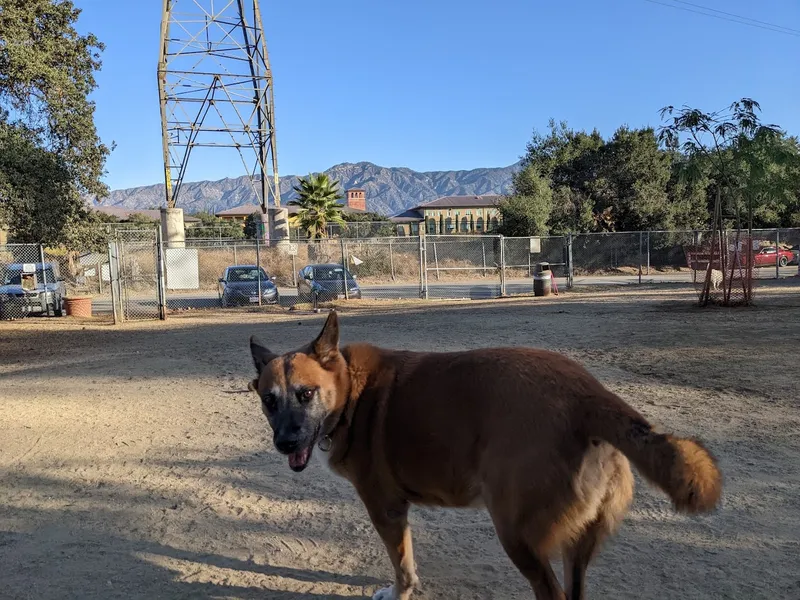 dog parks Griffith Park Dog Park