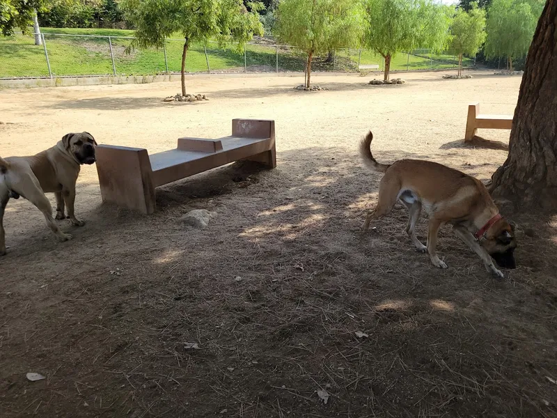 dog parks Hermon Dog Park