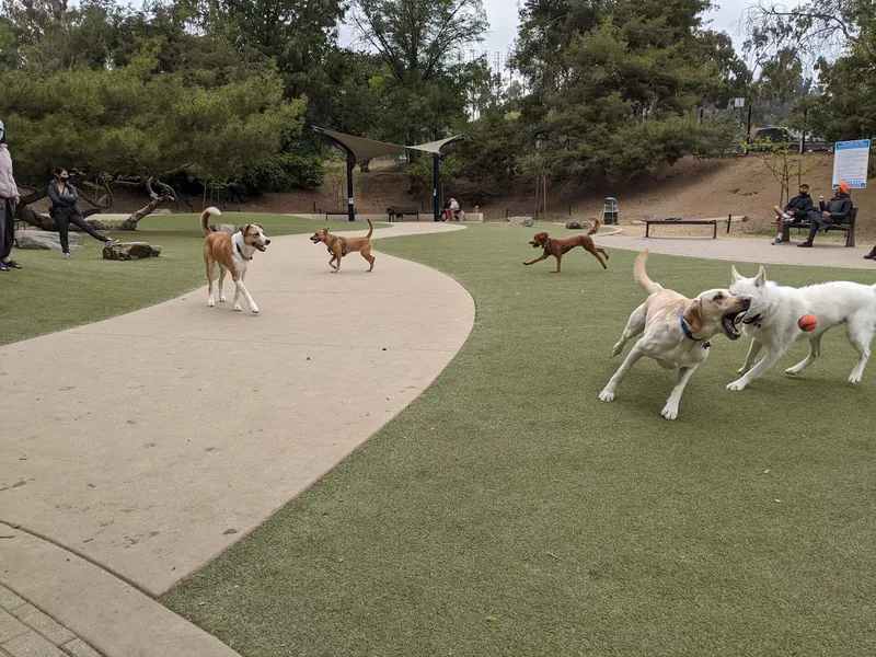 dog parks Eagle Rock Dog Park