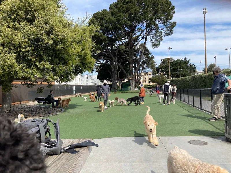 dog parks Dog Park | Moscone Park