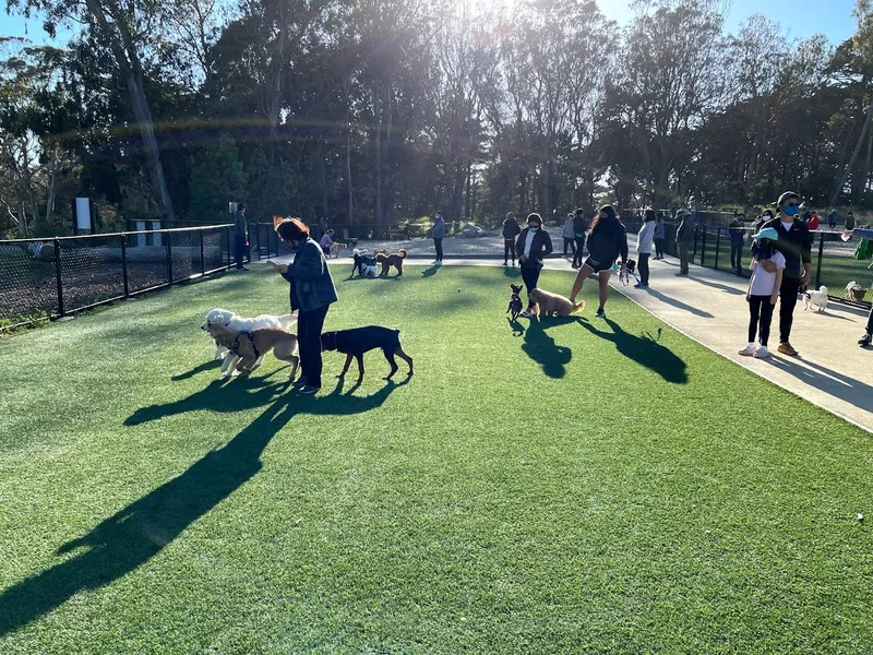 dog parks Golden Gate Park Dog Training Area