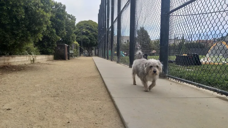 dog parks Joby’s Dog Run Area