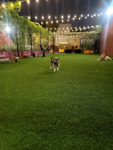 dog parks SoFA Pocket Park