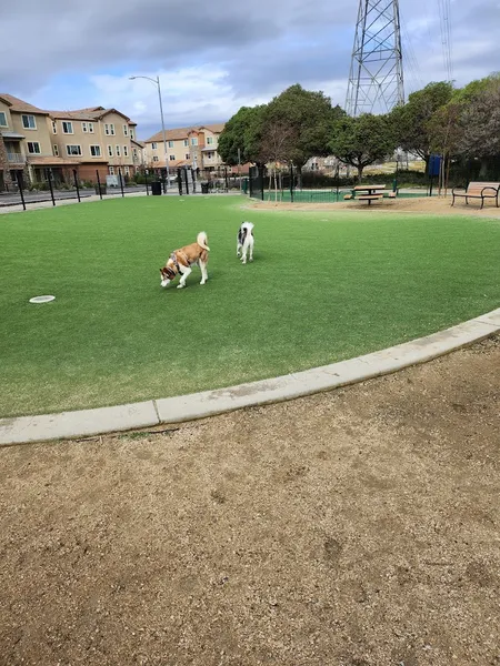 dog parks Raleigh Linear Park