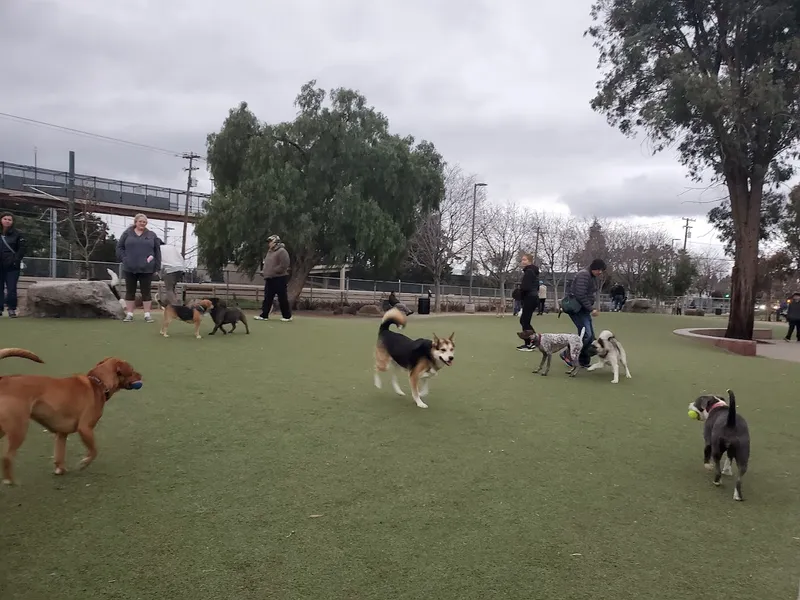 dog parks Reed Street Dog Park