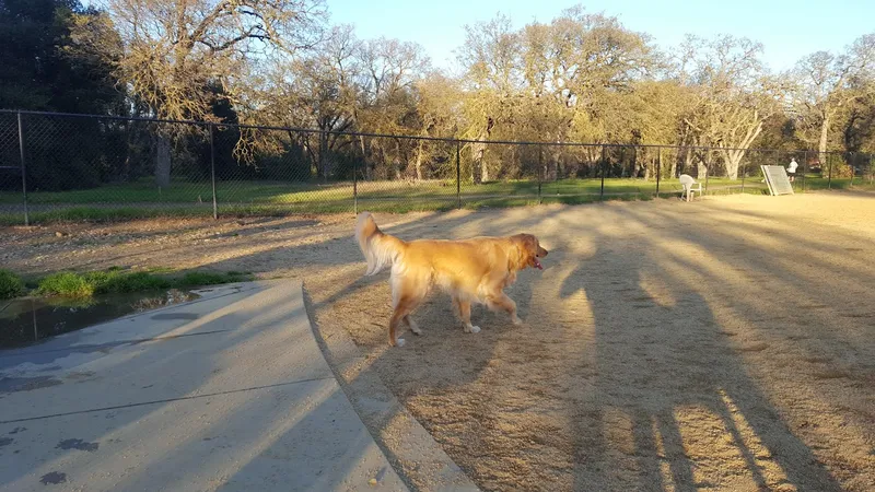 dog parks Jeffrey Fontana Park