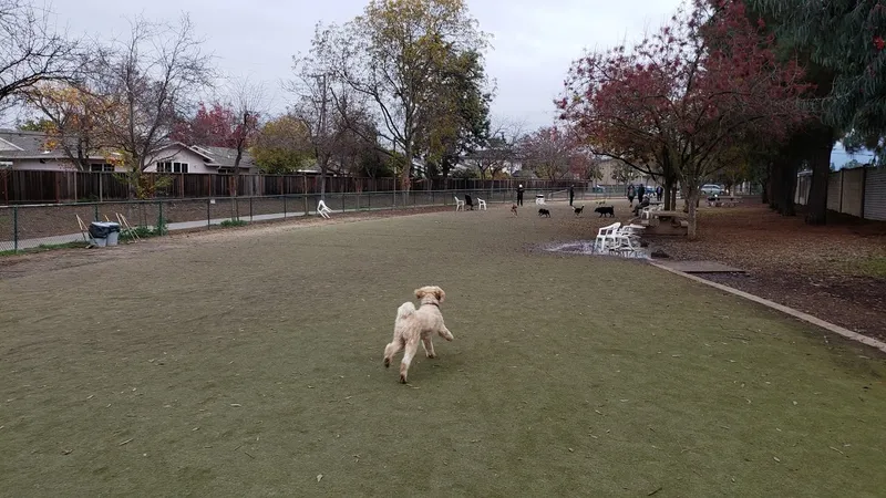 dog parks Saratoga Creek Dog Park, San Jose, CA