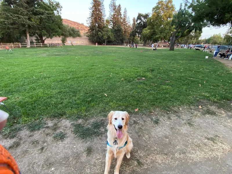 dog parks Dog Park at Hellyer County Park