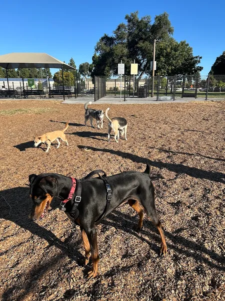 dog parks Welch Dog Park