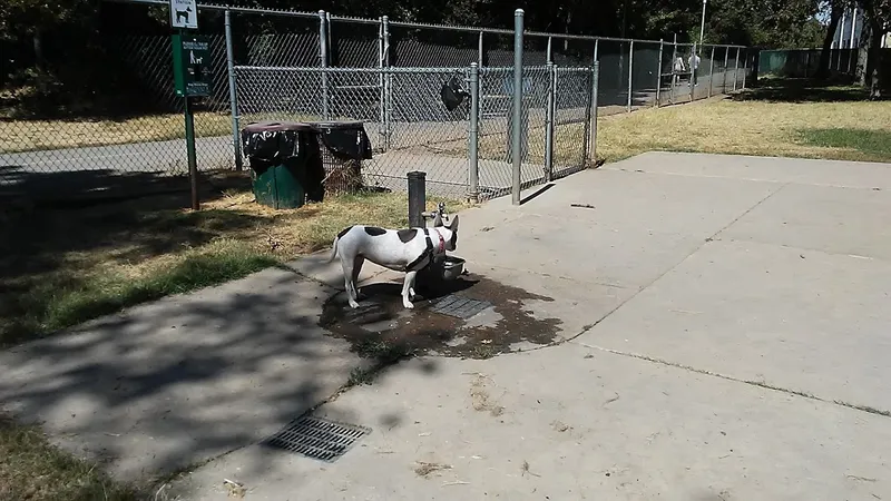 dog parks Bannon Creek Dog Park