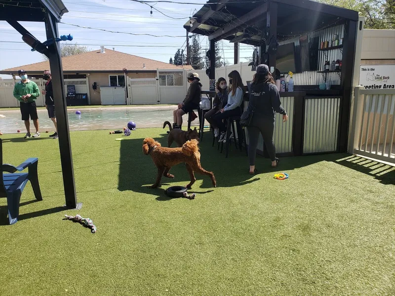 dog parks The Local Bark Park