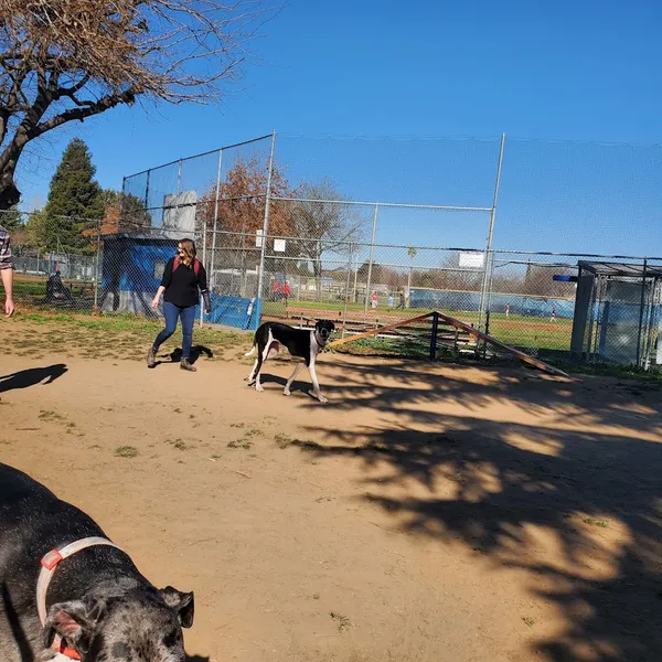 dog parks Glenbrook Large Dog Park