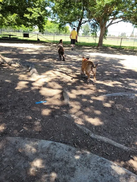 dog parks Howe Ave Park Off Leash Dog Park