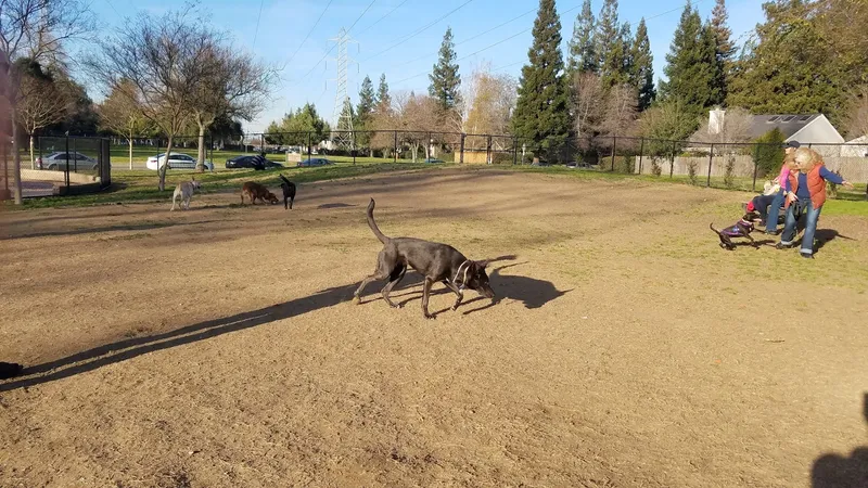 dog parks University Park Dog Park