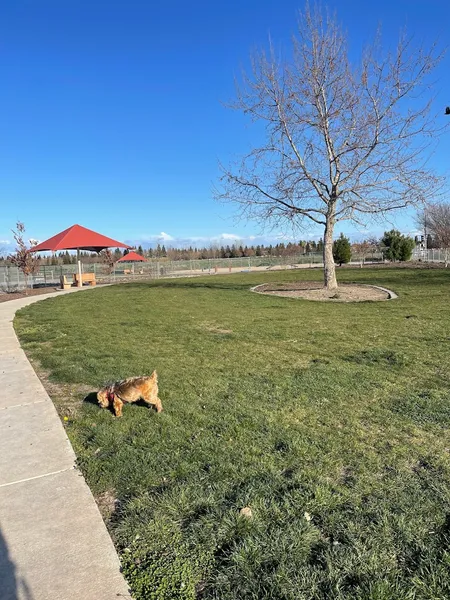 dog parks North Natomas Regional Dog Park