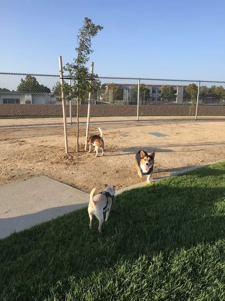 dog parks Blackbird Park