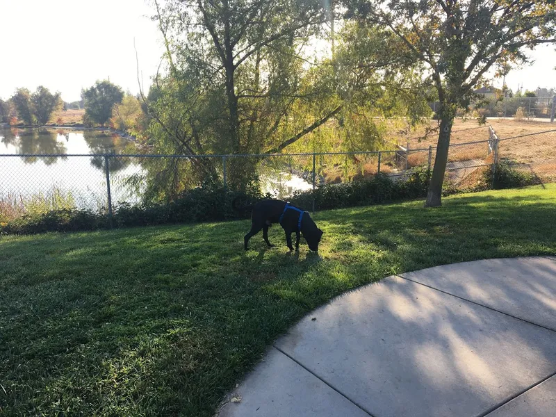 dog parks Tanzanite Dog Park