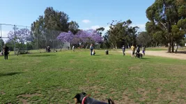 Best of 20 Dog parks in San Diego