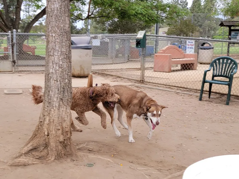 dog parks Rancho Bernardo Dog Park