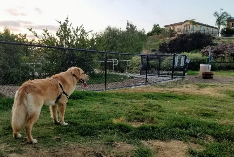 dog parks Torrey Hills Dog Park