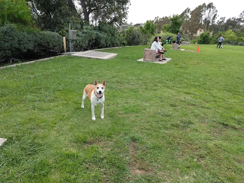 dog parks Meanley Open Dog Park