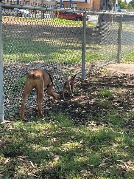 dog parks Memorial Dog Park