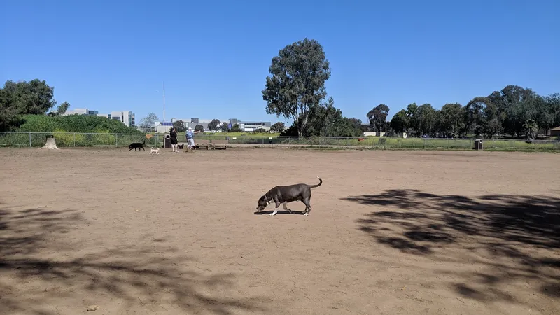 dog parks Kearny Mesa Park