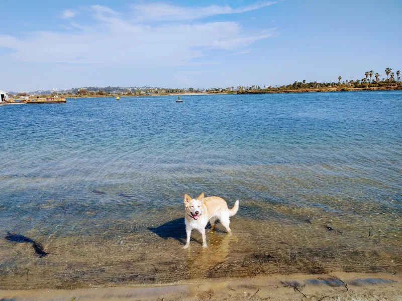 dog parks Fiesta Island Dog Park