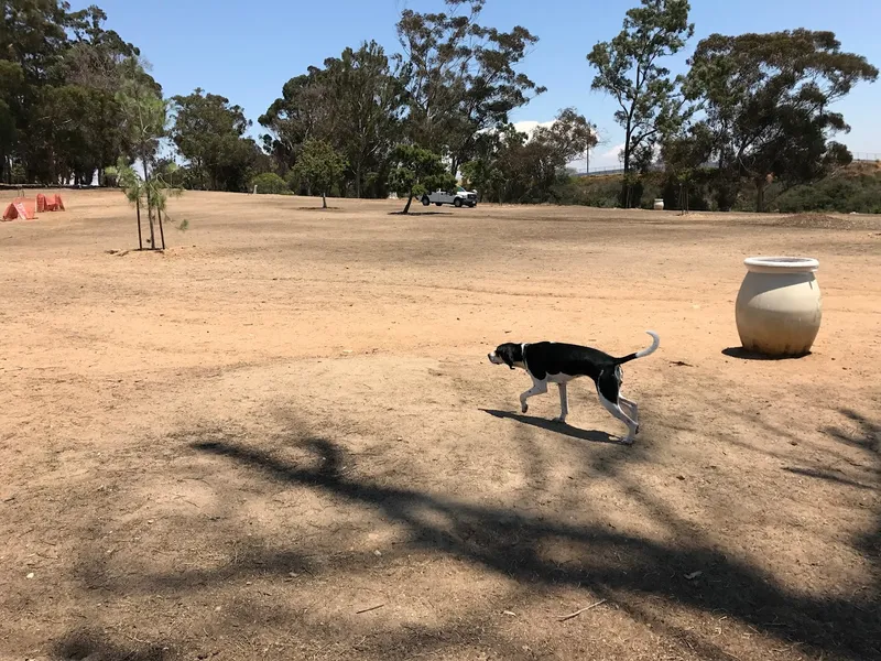 dog parks Morley Field Dog Park