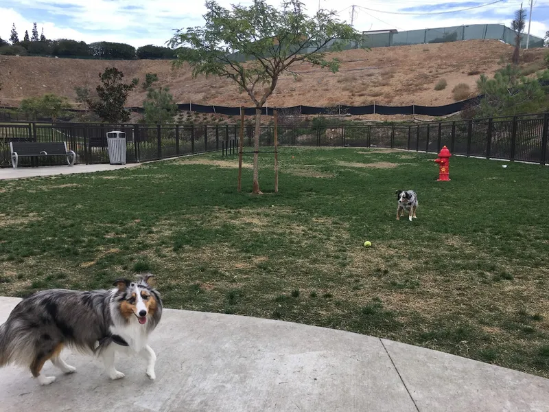 dog parks Civita Dog Park