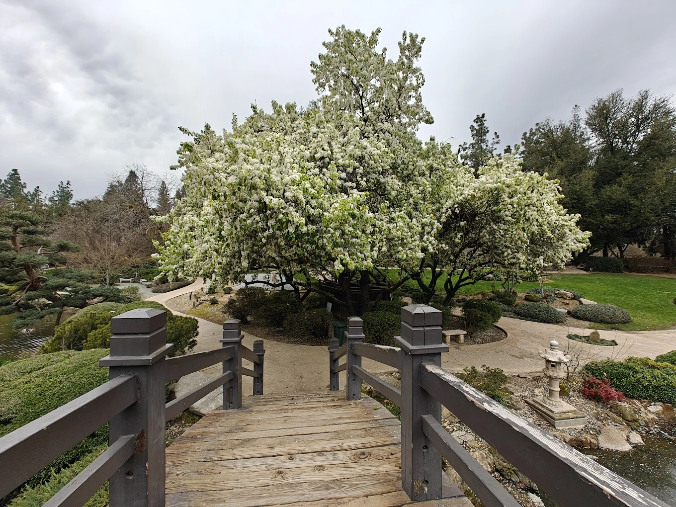 Best of 14 Dog parks in Fresno